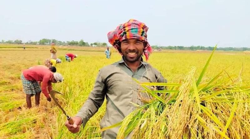 প্রণোদনা-পাচ্ছেন-বরেন্দ্র-অঞ্চলের-সোয়া-২-লাখ-কৃষক